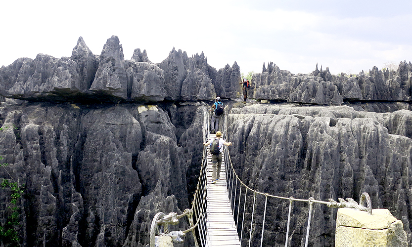 Tsingy de Bemaraha expedition and tours