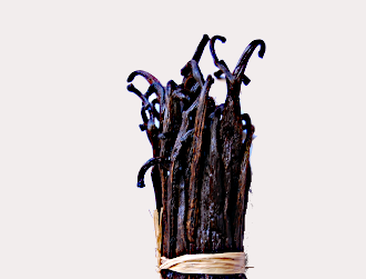 Vanilla of Madagascar